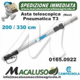 Asta Campagnola telescopica...