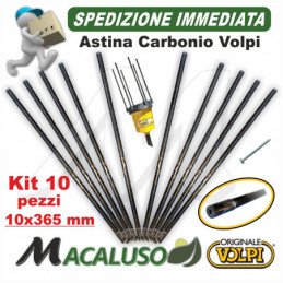 Kit 10 Asta carbonio...