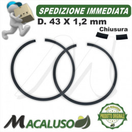 Kit 2 fascia elastica D 43...