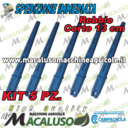 Kit 5 Rebbio corto azzurro...