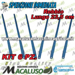 Kit 6 Rebbio lungo...