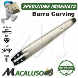 Barra Carving 10" Cm.25...