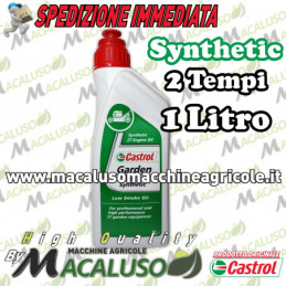 Olio miscela Castrol Garden...