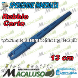 Rebbio corto azzurro...