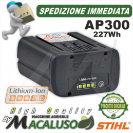 Batteria Stihl AP 300 ioni...