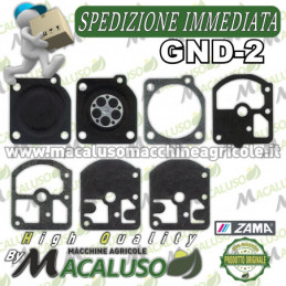 Serie membrane carburatore...