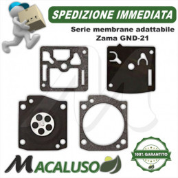 Serie membrane carburatore...