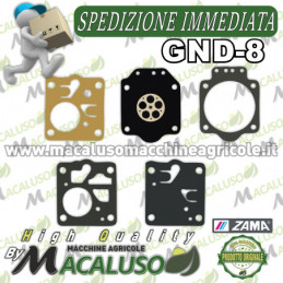 Serie membrane carburatore...