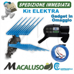 Abbacchiatore elettrico a...