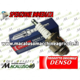 Candela DENSO M17 passo...