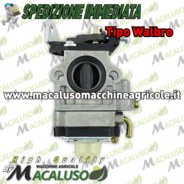 Carburatore tipo Walbro...